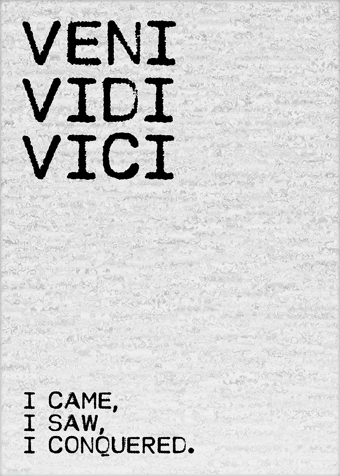 I Came I Saw I Conquered