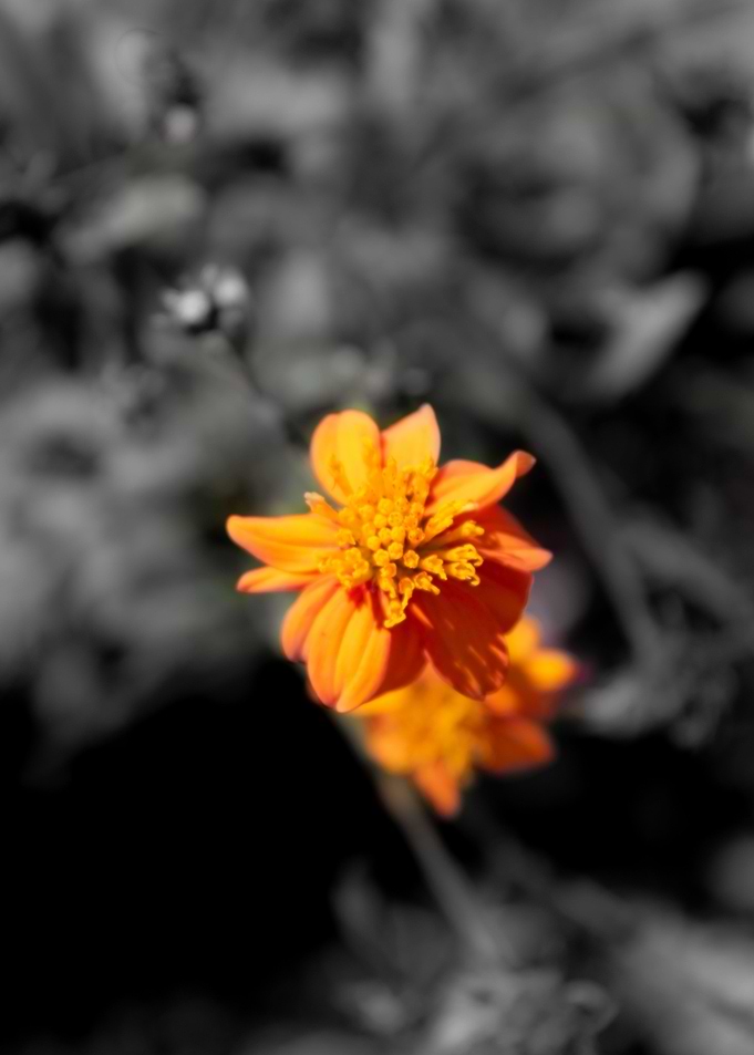 Beautiful nature