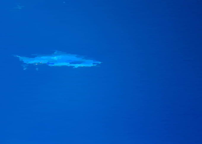 Shark Attack