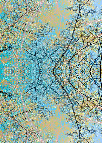 Spring forest 7