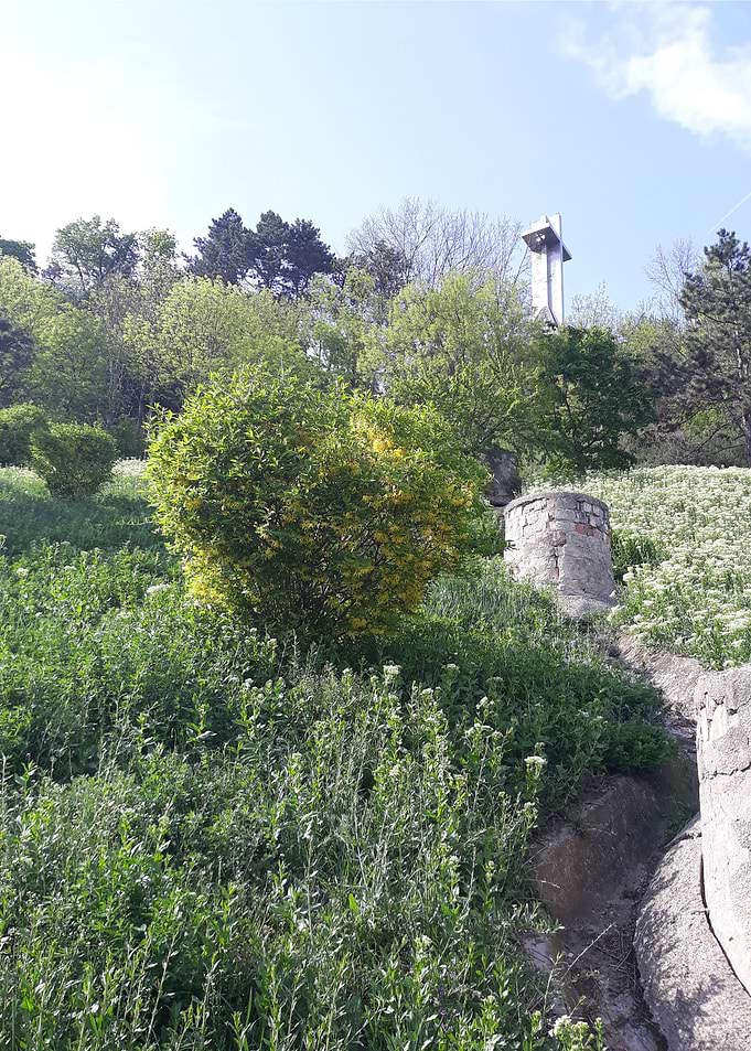 Garden of Eden 5