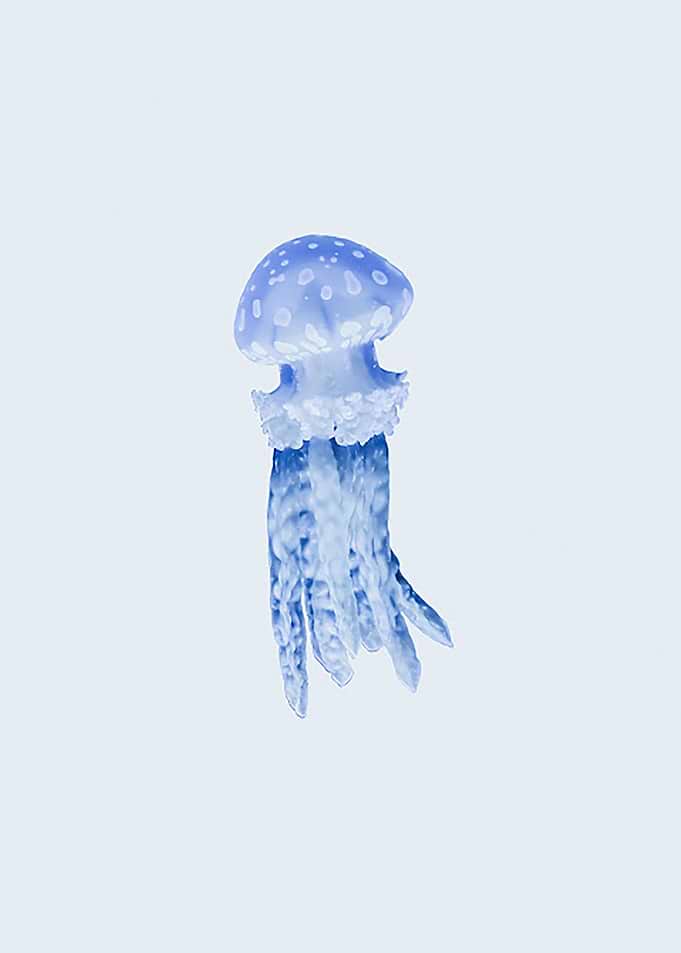 Jelly
