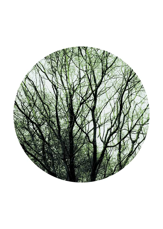 Geometrical Nature Branche
