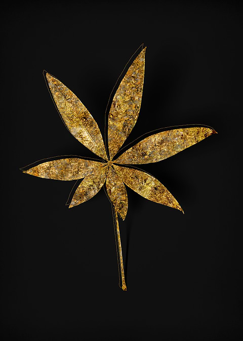 Gold Flora on Black
