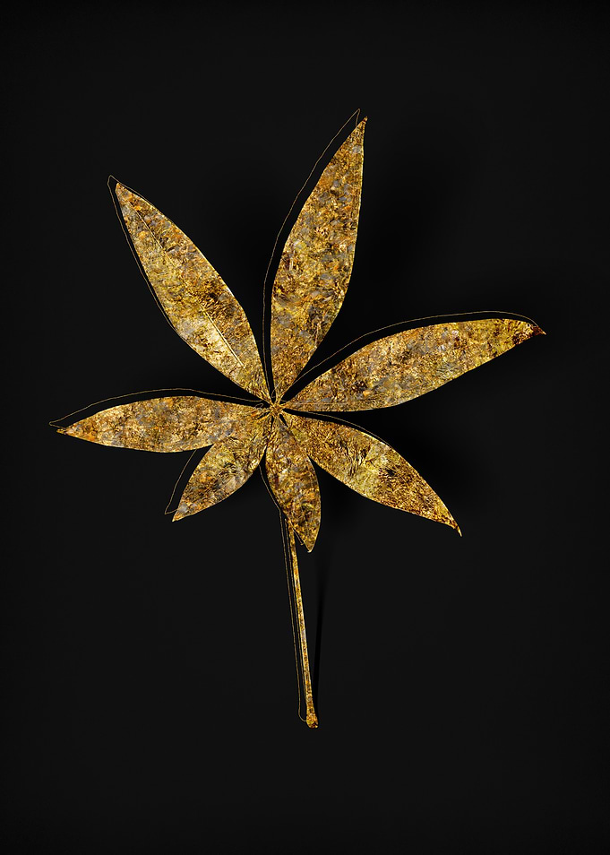 Gold Flora on Black