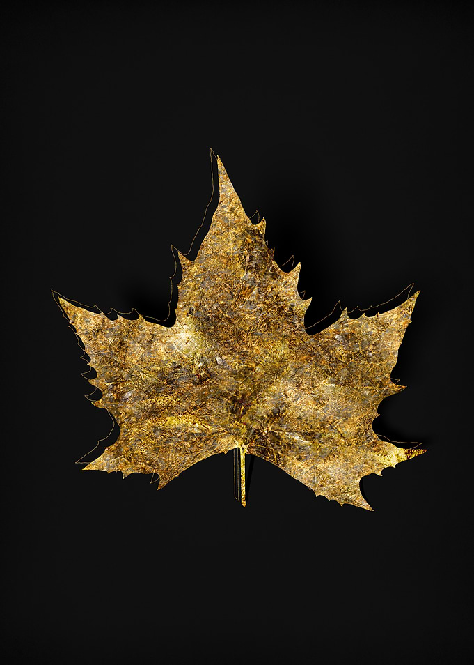 Gold Flora on Black