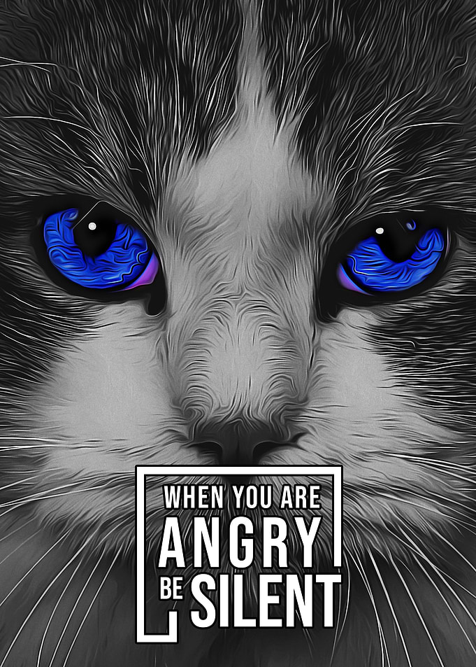 Silent Angry