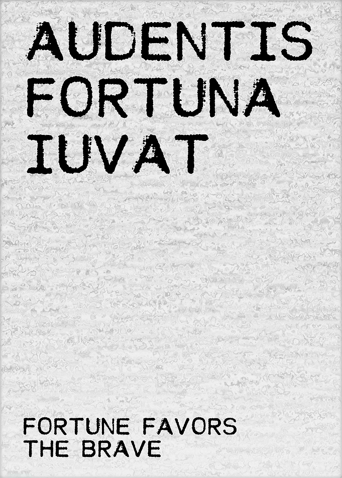 Fortune Favors The Brave