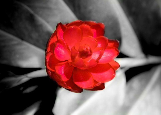 Nature gifts 1