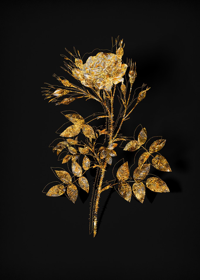 Gold Flora on Black