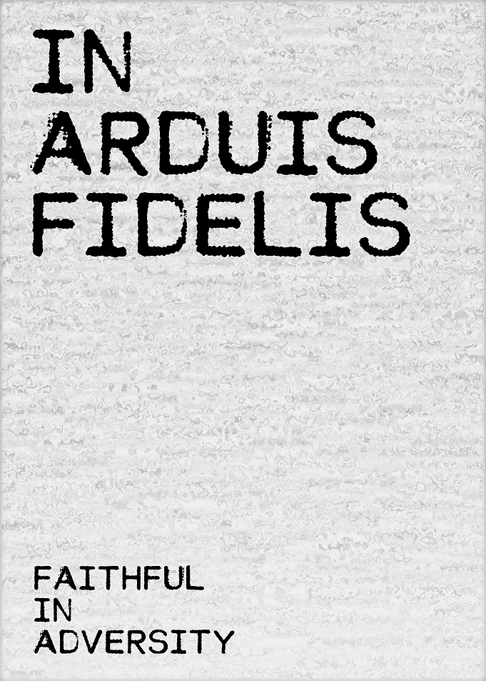 Faithful In Adversity