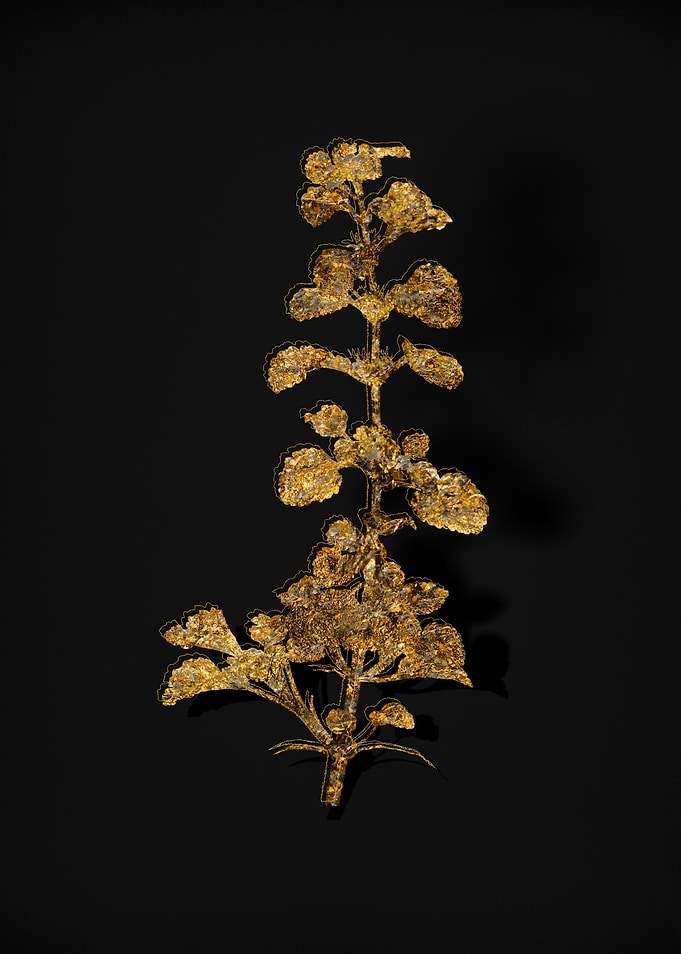 Gold Flora on Black