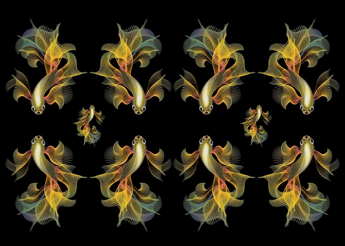 fighter fish pattern