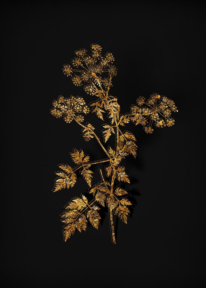 Gold Flora on Black