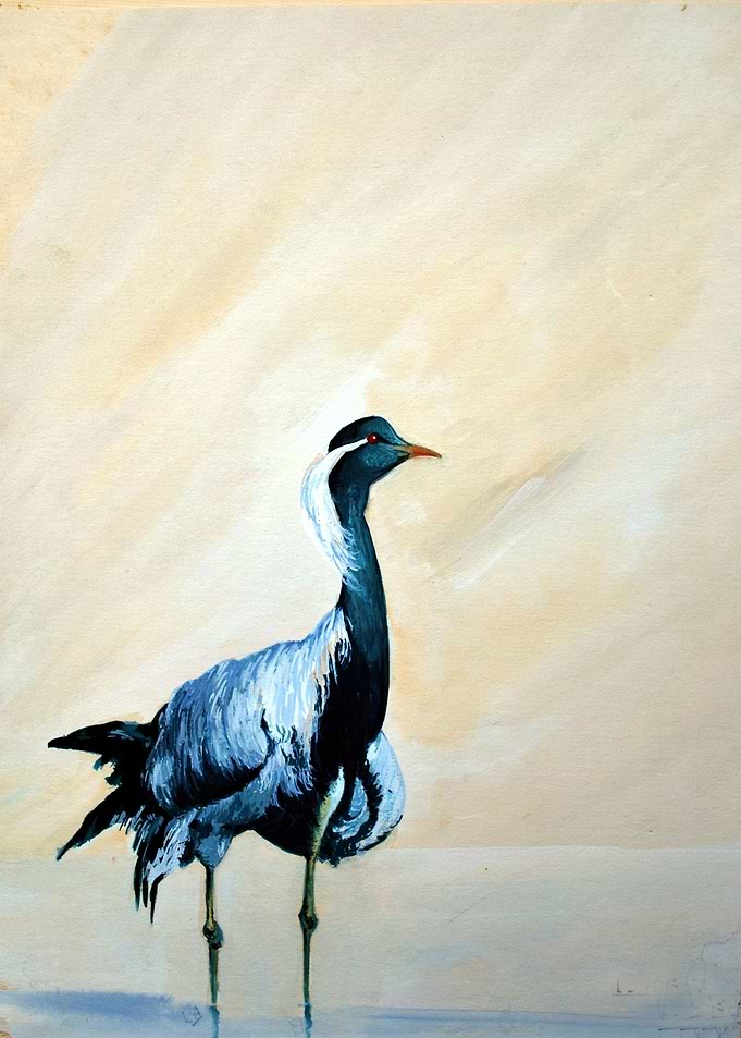 Indian crane