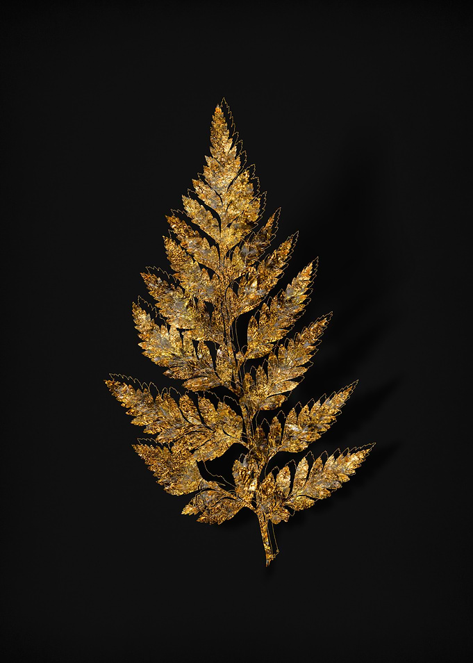 Gold Flora on Black