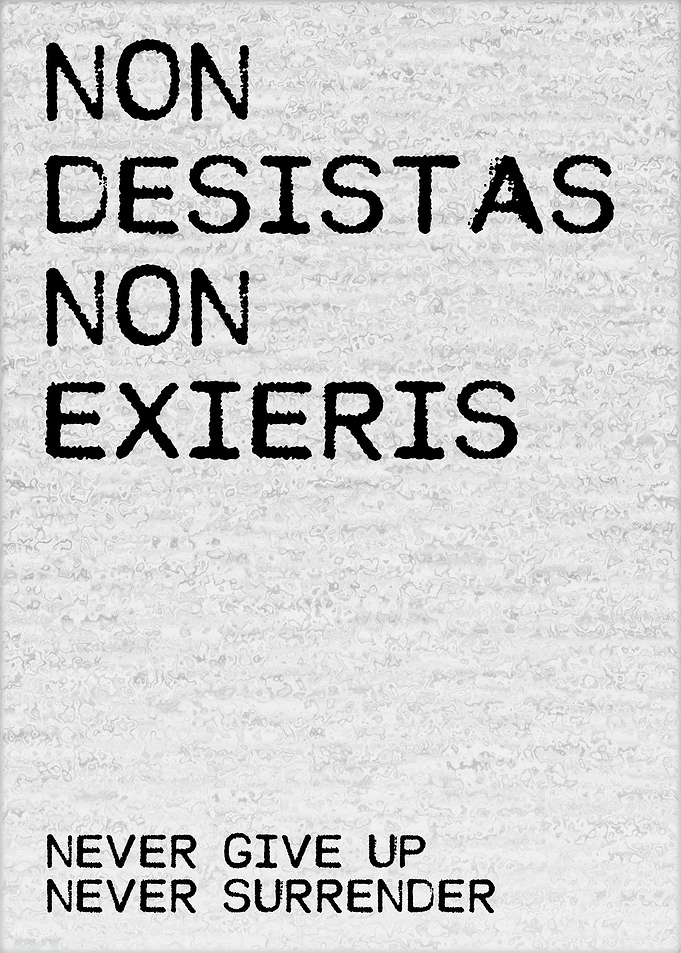 Never Give Up