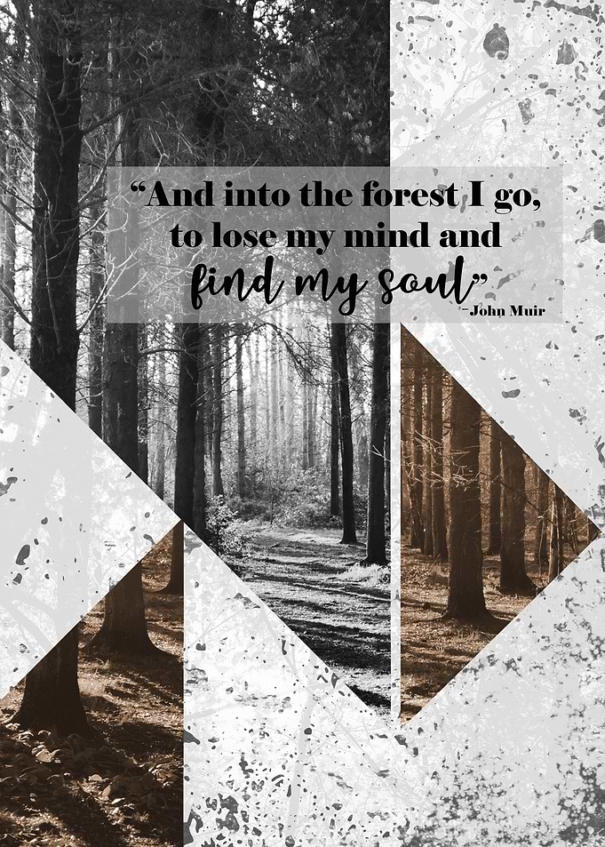 Moody Forest