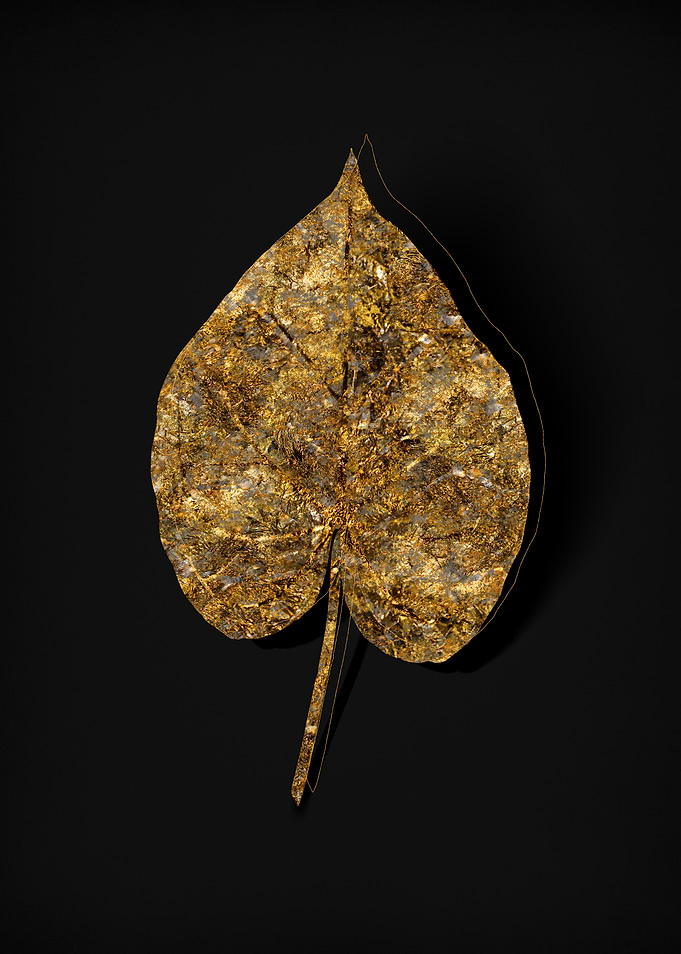 Gold Flora on Black