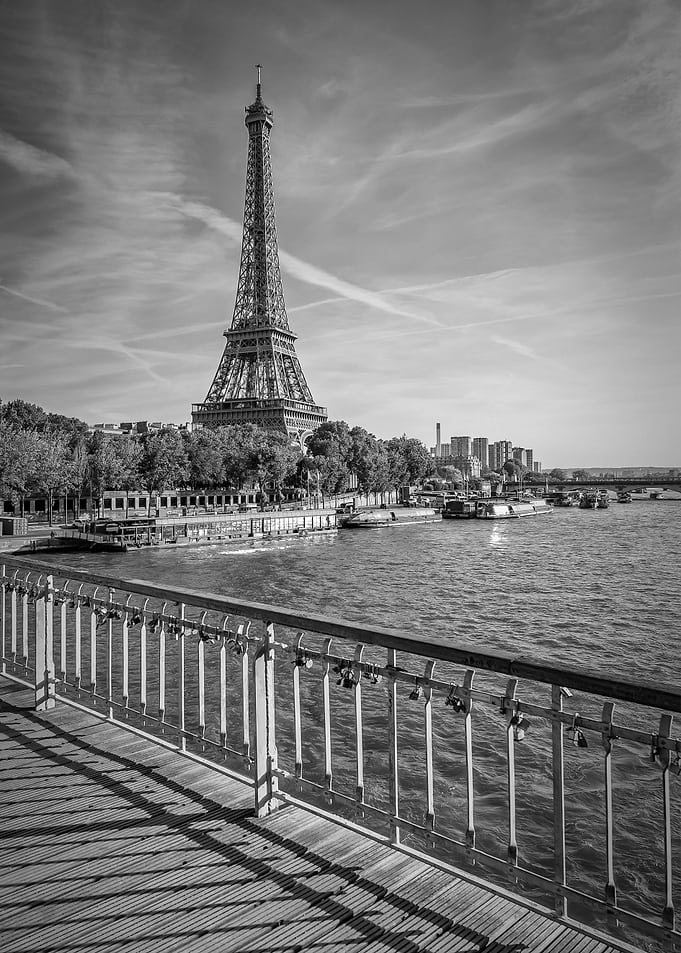 Eiffel Tower View