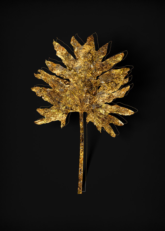 Gold Flora on Black
