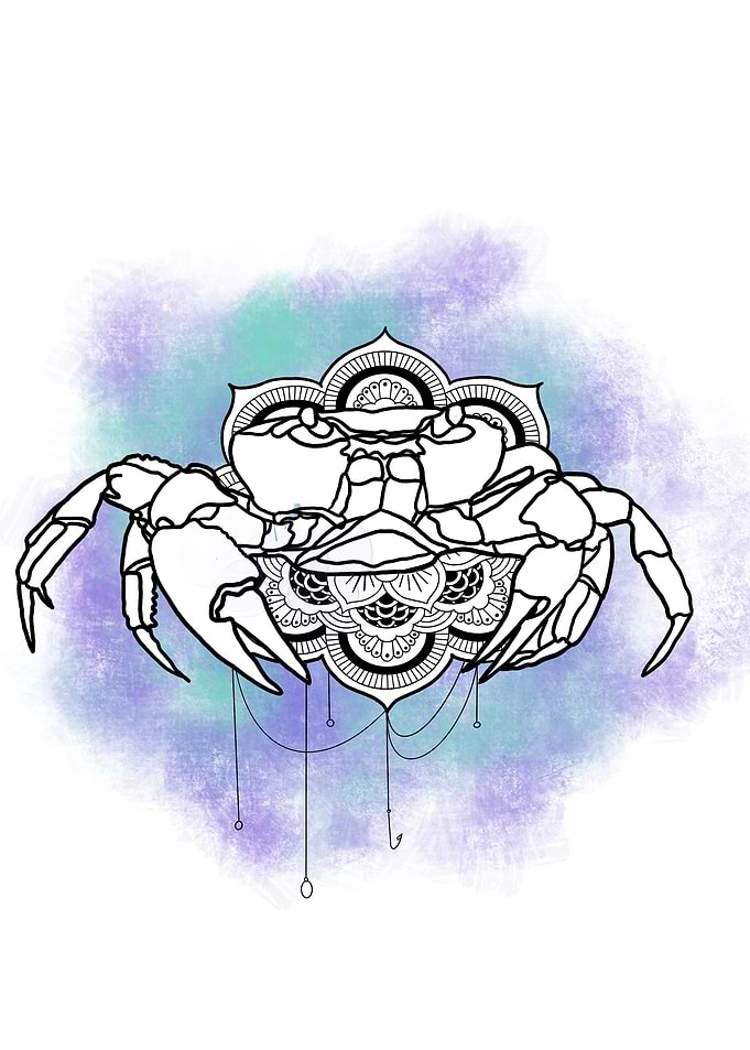 Colour Bomb Crab