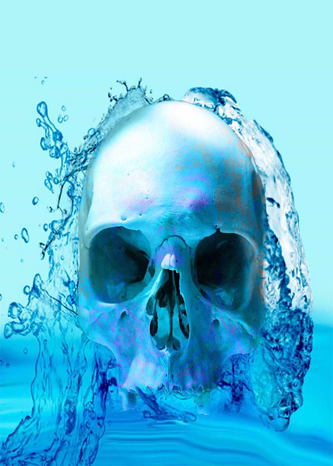 Skull in Water