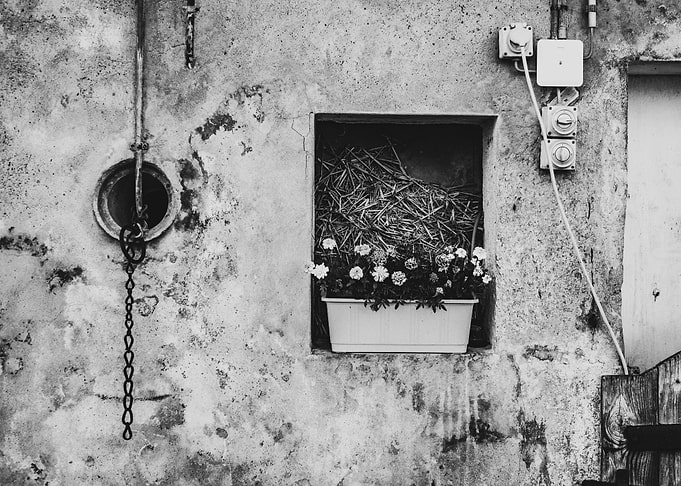 the window