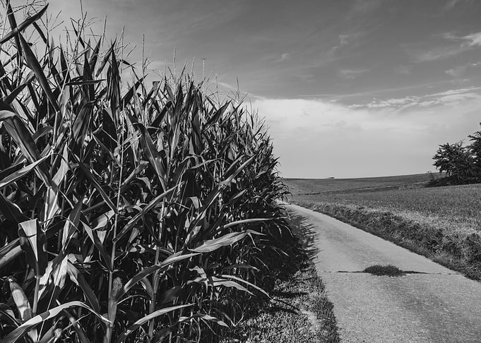 the road