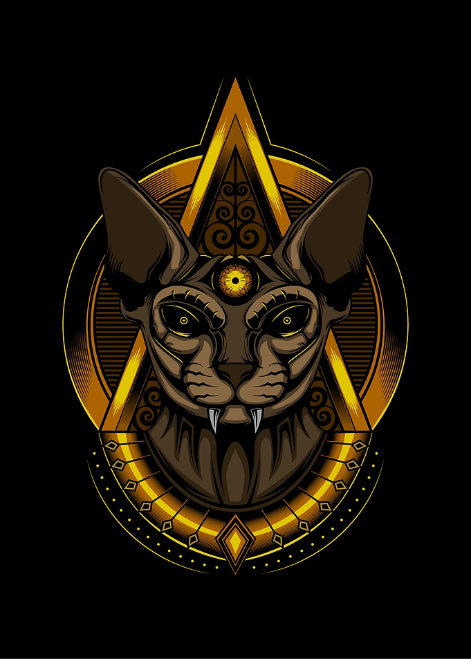Sphinx Donskoy cat