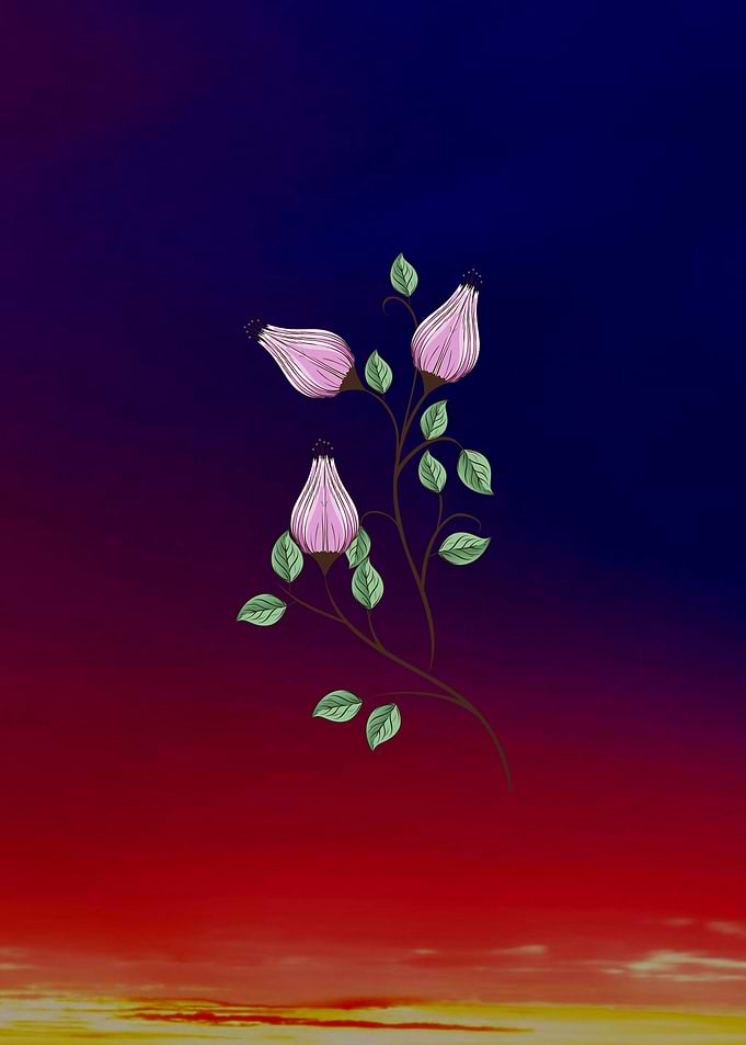 Flo