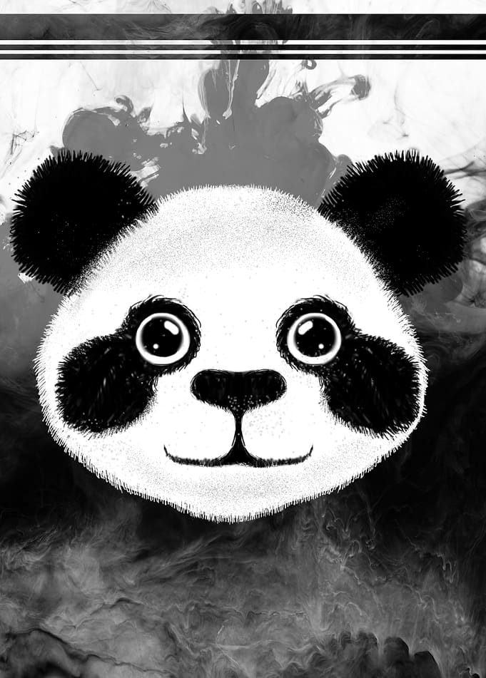 Cute Black white Panda