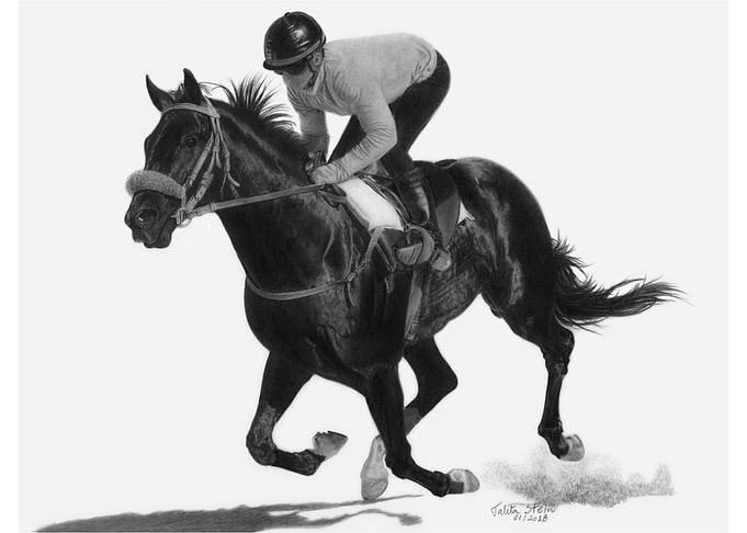 Race horse