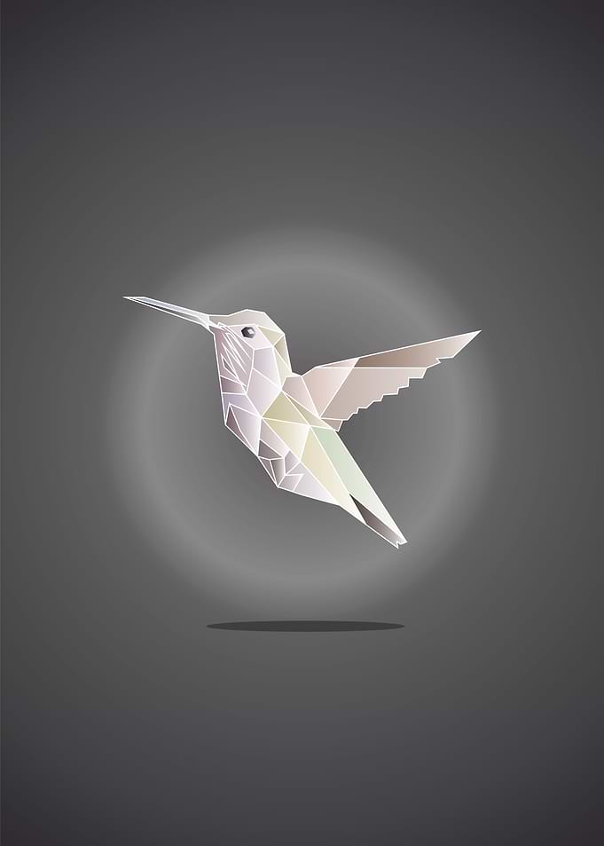 hummingbird