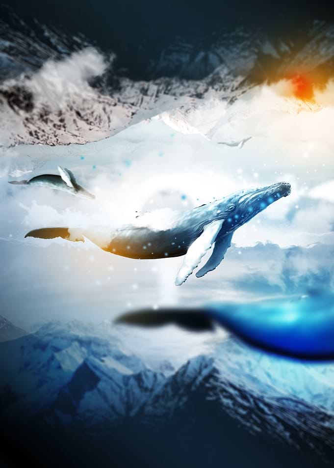 Ocean