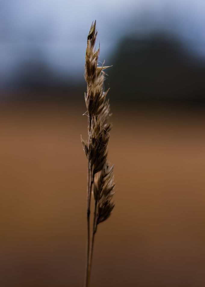 Minimal