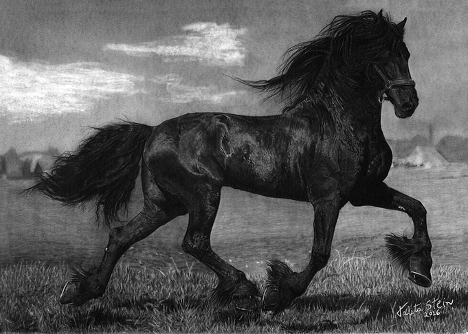 Friesian