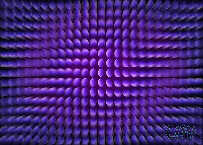 Purple Warp