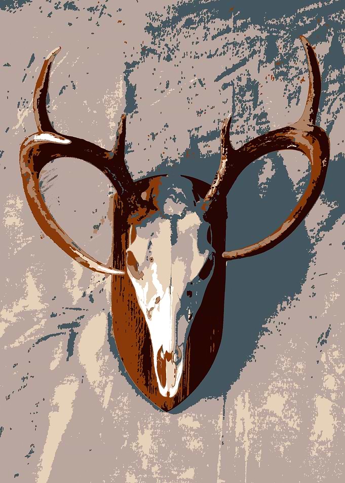 buck