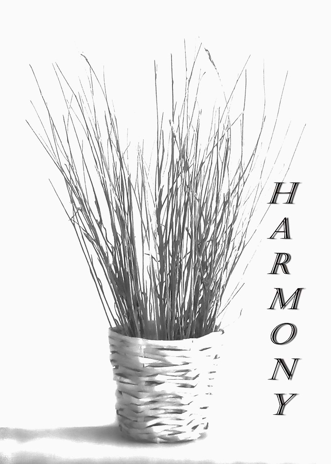 Harmony