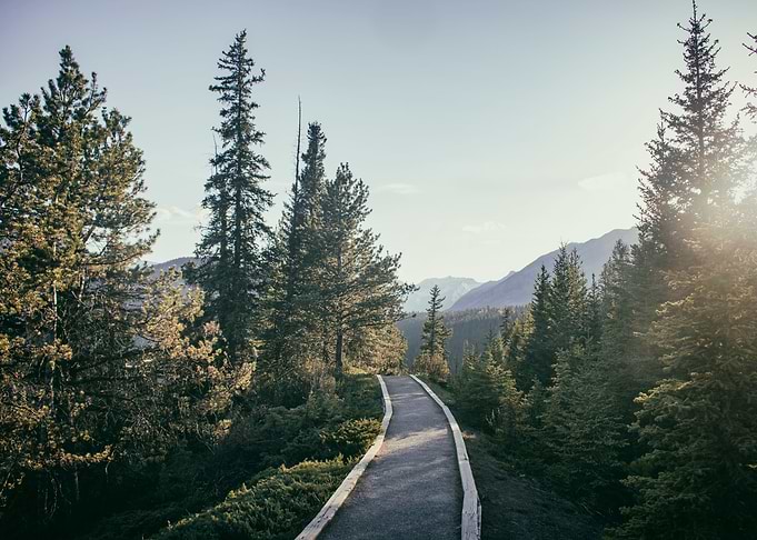 Wanderlust in the Rockies
