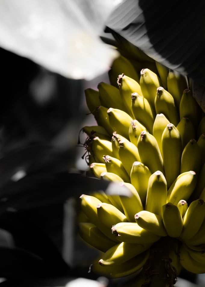 Mighty bananas 2