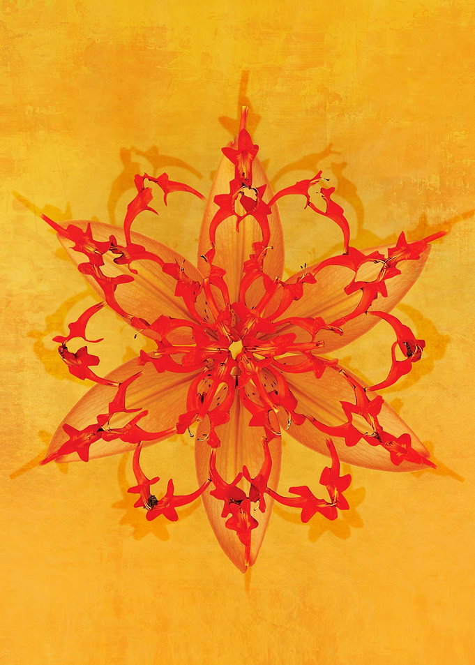 Living Mandala3