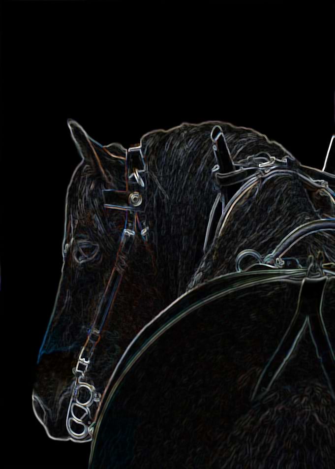 Glowing mystic draft horse
