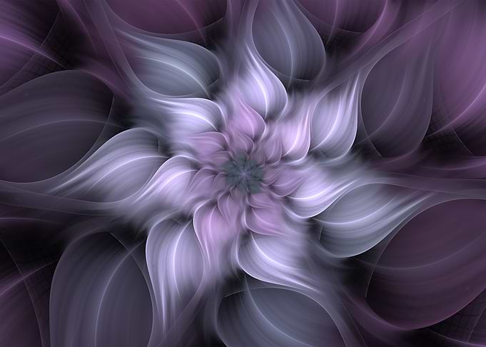 Lavender Abstract