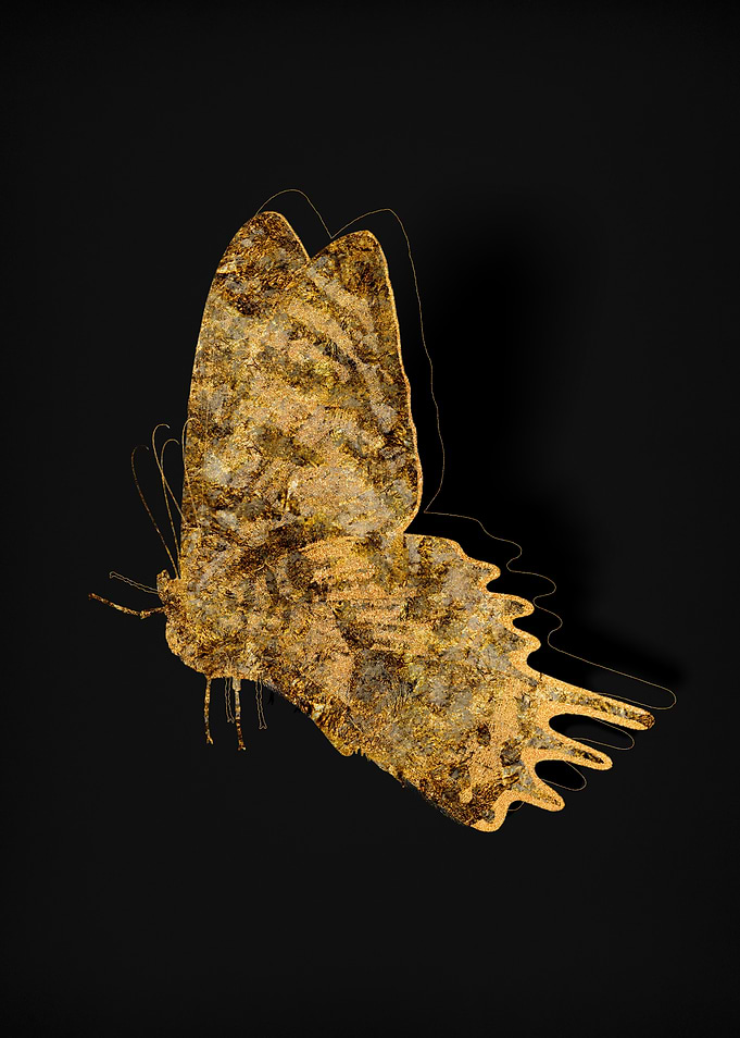 Gold Fauna On Black