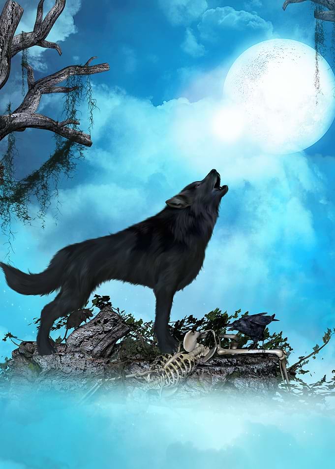 Awesome wolf