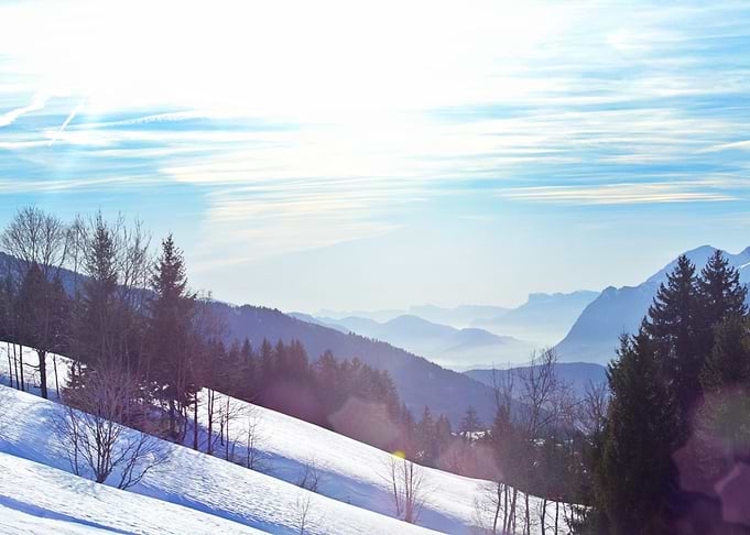Winter Landscape