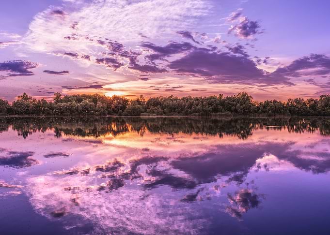 Purple Sunset