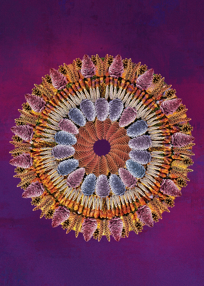 Living Mandala2